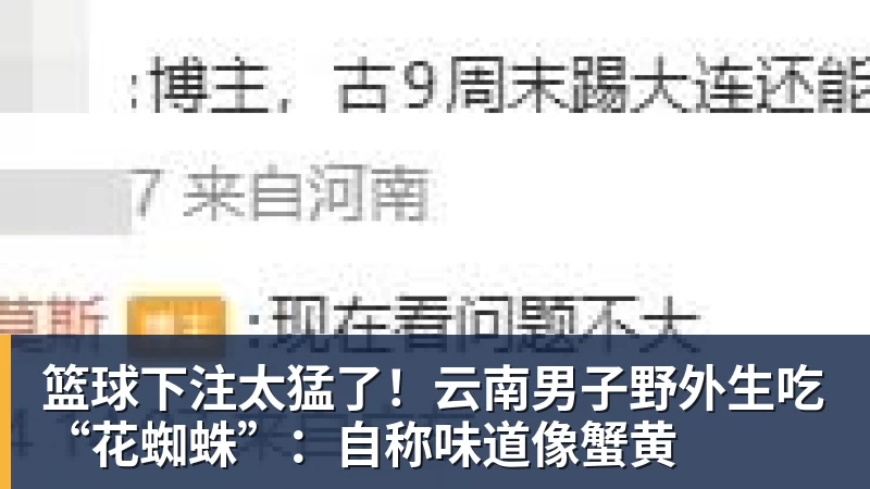 篮球下注太猛了！云南男子野外生吃“花蜘蛛”：自称味道像蟹黄